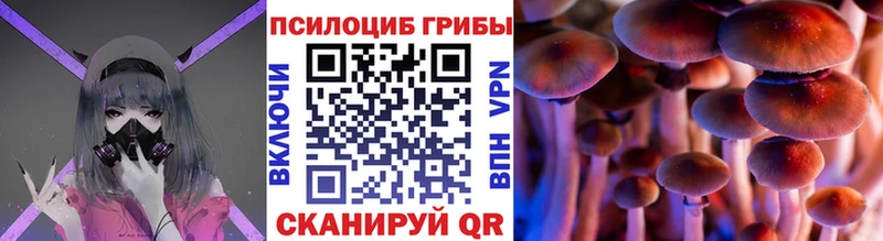 Псилоцибиновые грибы MAGIC MUSHROOMS Бологое